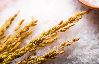 上海小程序开发公司案例瑞霞实业商城系统