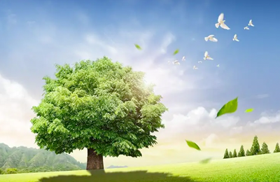 上海小程序开发公司案例上海澈然环保科技多宝体育